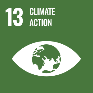 SDG13