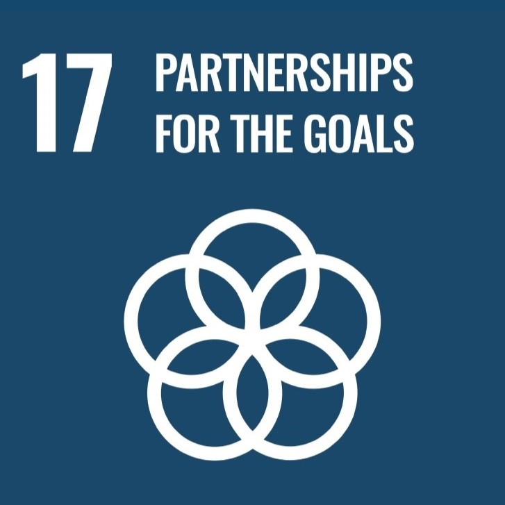SDG17